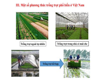 Bài giảng Công nghệ Lớp 7 Sách Kết nối tri thức - Bài 1: Giới thiệu về trồng trọt