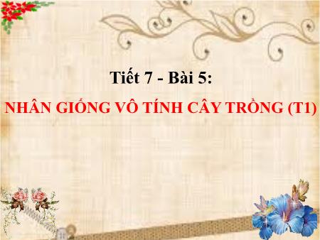 Bài giảng Công nghệ Lớp 7 Sách Kết nối tri thức - Tiết 5, Bài 5: Nhân giống vô tính cây trồng (Tiết 1)
