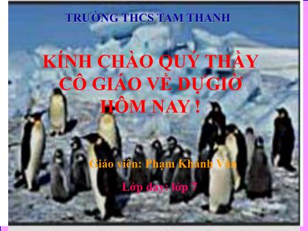 Bài giảng Địa lí Lớp 7 - Bắc Cực - Trường THCS Tam Thanh