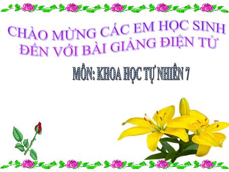 Bài giảng Khoa học tự nhiên Lớp 7 Sách Kết nối tri thức - Bài 6: Giới thiệu về liên kết hóa học - Trường THCS Thị trấn Gôi