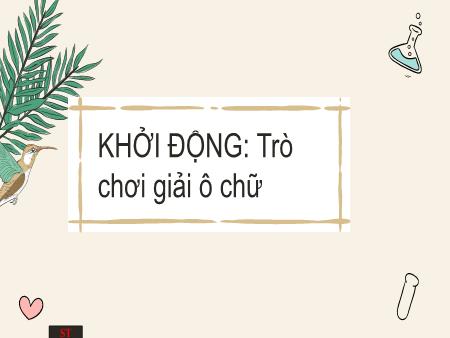 Bài giảng Khoa học tự nhiên Lớp 7 Sách Kết nối tri thức - Bài 5: Phân tử. Đơn chất. Hợp chất - Trường THCS Tam Thanh