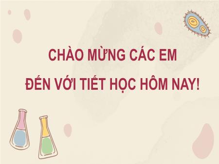 Bài giảng Khoa học tự nhiên Lớp 7 Sách Kết nối tri thức - Chương 7: Trao đổi chất và chuyển hóa năng lượng ở sinh vật - Bài 21: Khái quát về trao đổi chất và chuyển hóa năng lượng