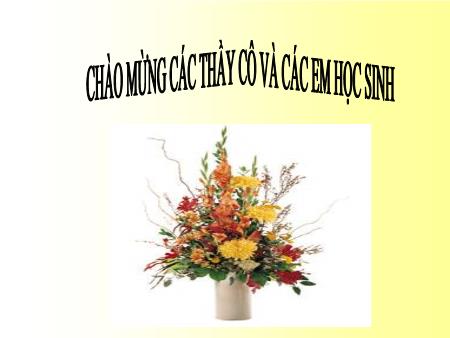 Bài giảng Khoa học tự nhiên Lớp 7 Sách Kết nối tri thức - Tiết 5, Bài 5: Ảnh của một vật tạo bởi gương phẳng - Trường THCS Trần Đăng Ninh