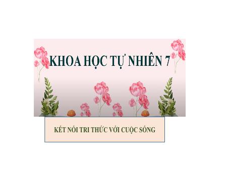 Bài giảng Khoa học tự nhiên Lớp 7 Sách Kết nối tri thức - Tiết 9+10+11, Bài 3: Nguyên tố hóa học - Trường THCS Vĩnh Hào