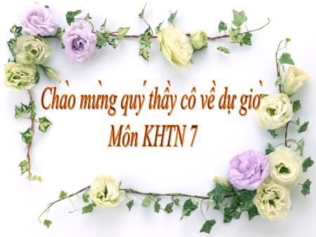 Bài giảng môn Khoa học tự nhiên Lớp 7 Sách Kết nối tri thức - Bài 6: Giới thiệu về liên kết hóa học - Trường THCS Thị trấn Gôi