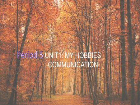 Bài giảng Tiếng Anh Lớp 7 Global Success - Unit 1: My hobbies - Lesson 4: Communication